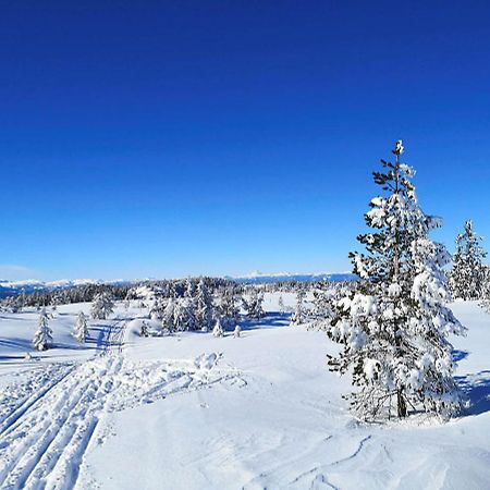 Bakka Villa Hovin Екстериор снимка