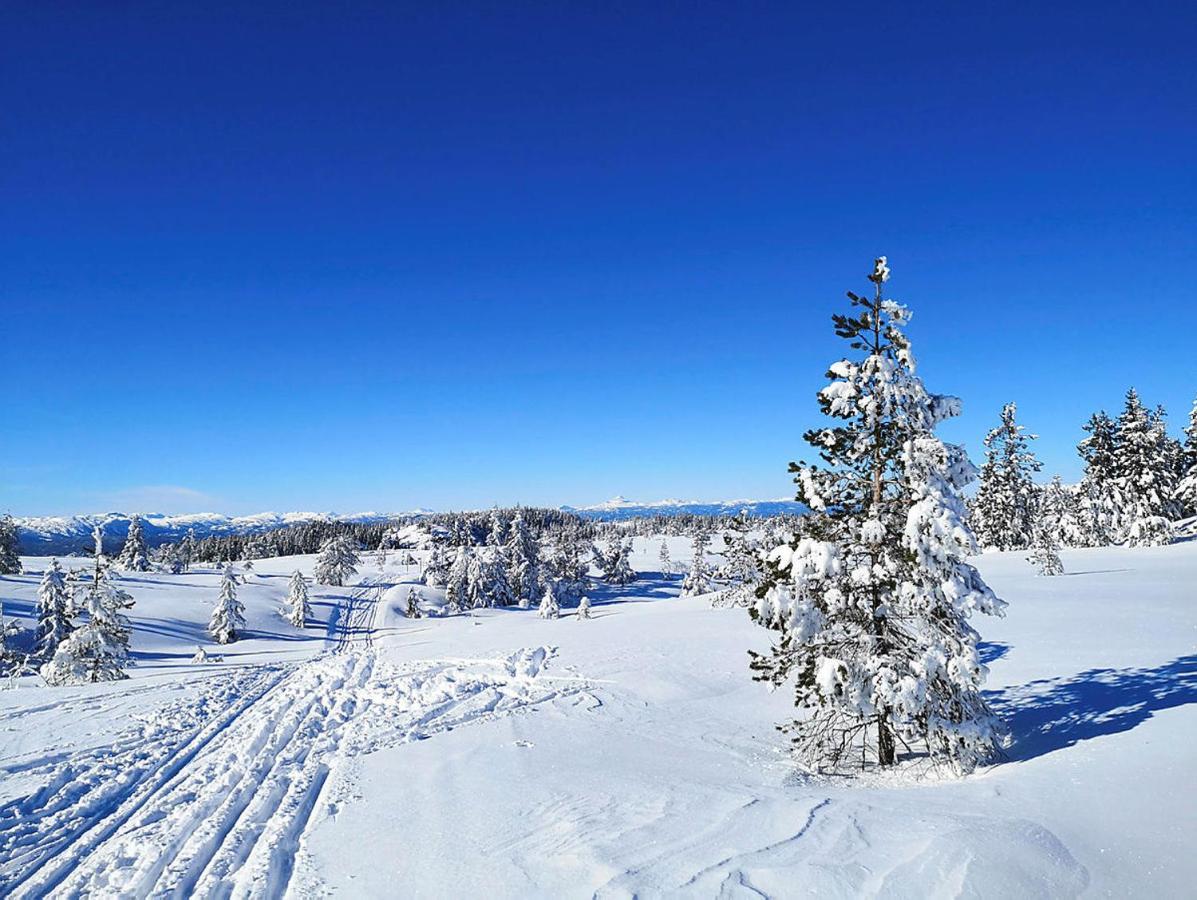 Bakka Villa Hovin Екстериор снимка